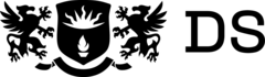 DS Consulting