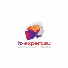 IT-Expert