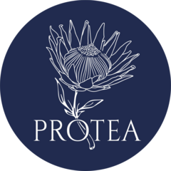 Студия цветов Protea