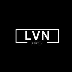 LVN GROUP (Кузьмичев Илья Алексеевич)