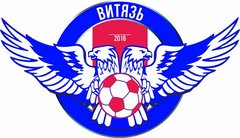 Футбольная Школа Витязь