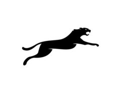 Gepard