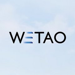 Логистическая компания WETAO