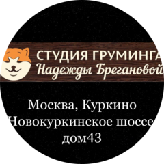Студия груминга Надежды Брегановой