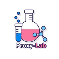 ProxyLab