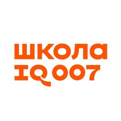 Школа IQ007 (ИП Черниенко Олеся Викторовна)