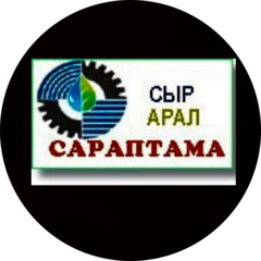 Сыр-Арал сараптама