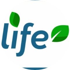 Him Box (Хим Бокс)