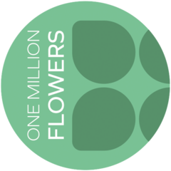 One Million Flowers