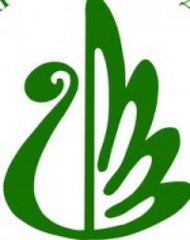ГБУК РБ РЦНТ