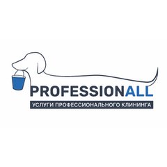 Профессионалл
