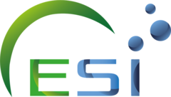 ESI Technology