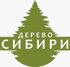 Орлов Илья Сергеевич
