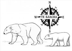 Власов Игорь Анатольевич