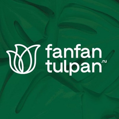 FanFanTulpan