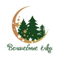 Пакулин Артем Александрович 