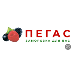 Пегас