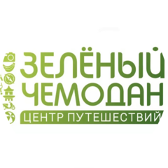 Зеленый чемодан
