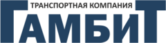 Гамбит