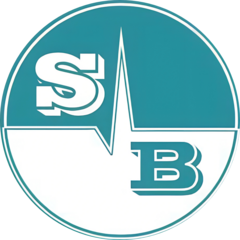 2ВИ Интернешнл