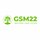GSM22 (   )