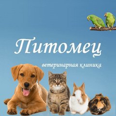 Соцкова Галина Валерьевна