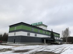 Город Леса