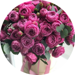 Бабкова Елена Викторовна