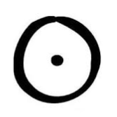 Бабушкина Валерия Игоревна