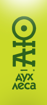Аю Групп