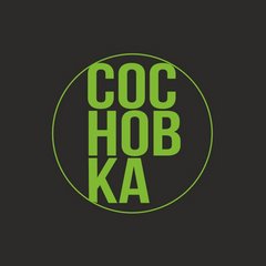 Онлайн-академия Сосновка