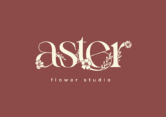 Aster Flowers
