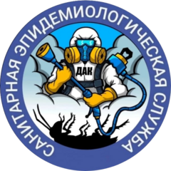 Дез Аудит Консалтинг
