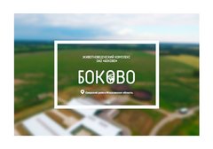Боково