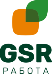 GSR РАБОТА