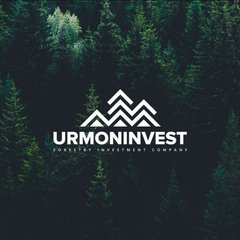 O`RMONINVEST
