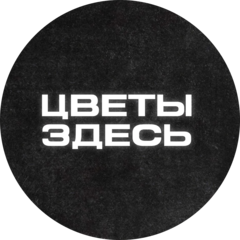Цветы здесь (ИП Московский Павел Сергеевич)