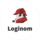 Loginom Company