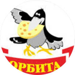 Орбита