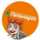  ( )