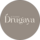 Drugaya Store