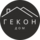 ГК Гекон