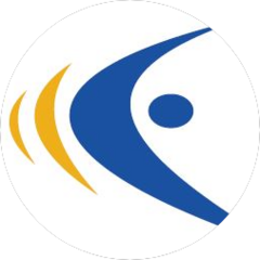 Е-Цифра
