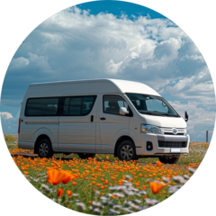 Дуплина Л. А.