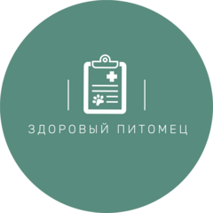 Ишмухаметова Елена Михайловна