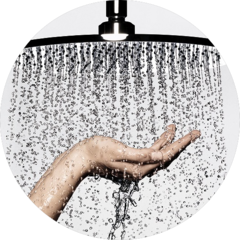 Ханс Сервис