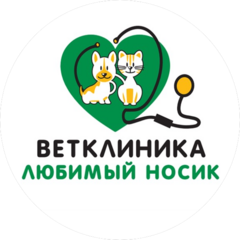 Любимый носик