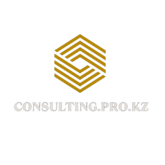 Consulting Pro KZ