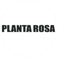 Planta Rosa