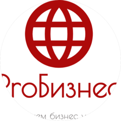 PROБизнес